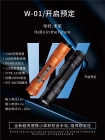 W-01防身手电电棍