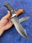 大马士革哈雷2匪帮骑士直刀